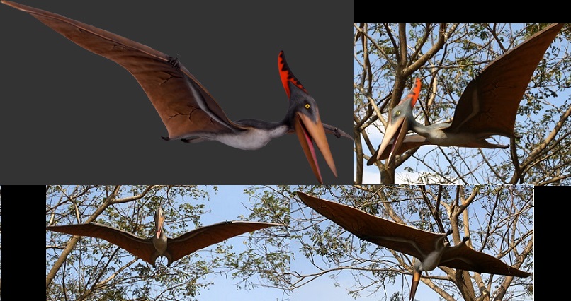 Pteranodon 10 Ft. - Click Image to Close